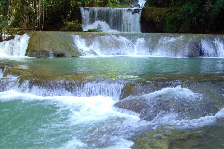 South Coast Tour to YS Falls, Black River Safari and Appleton Rum - Image 3