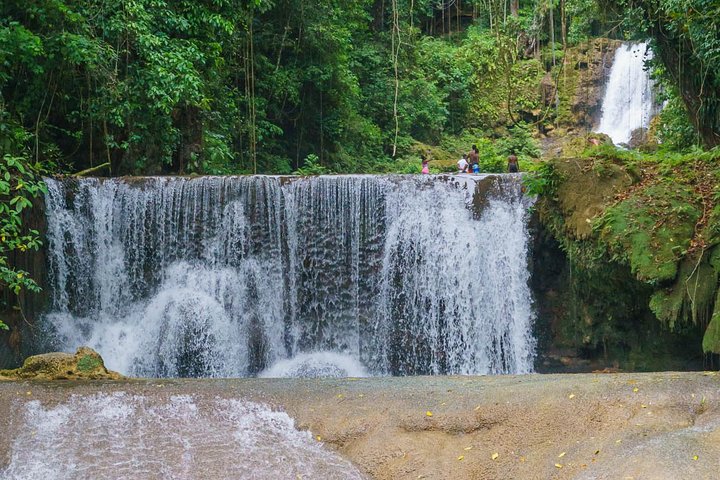 South Coast Tour: YS Falls, Black River Safari - Image 1