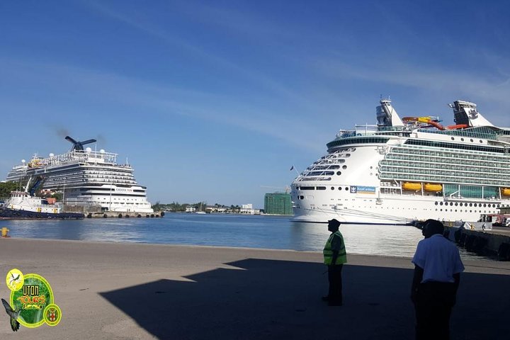 The AMAZING Montego Bay Tour - Image 4