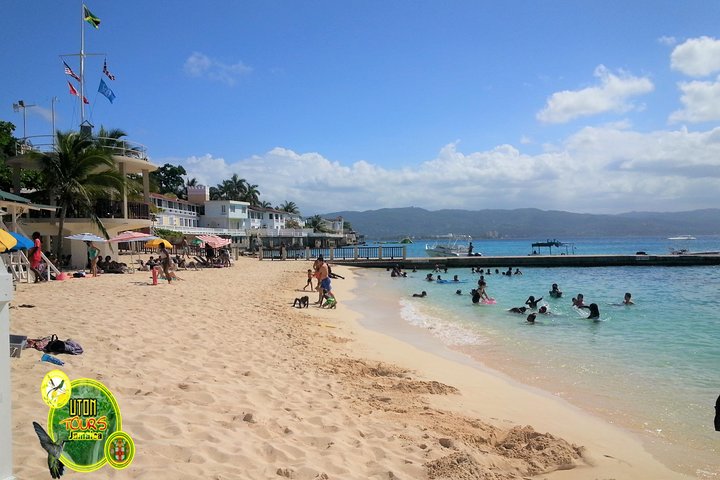 The AMAZING Montego Bay Tour - Image 5
