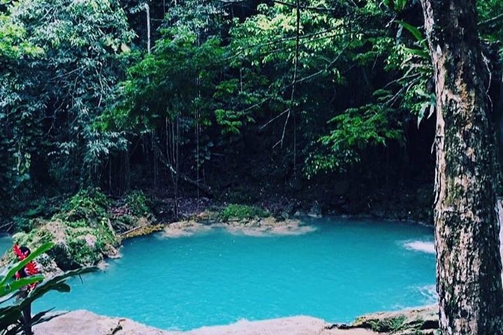 The Blue Hole and Martha Brae River Private Tour from Falmouth - Image 4