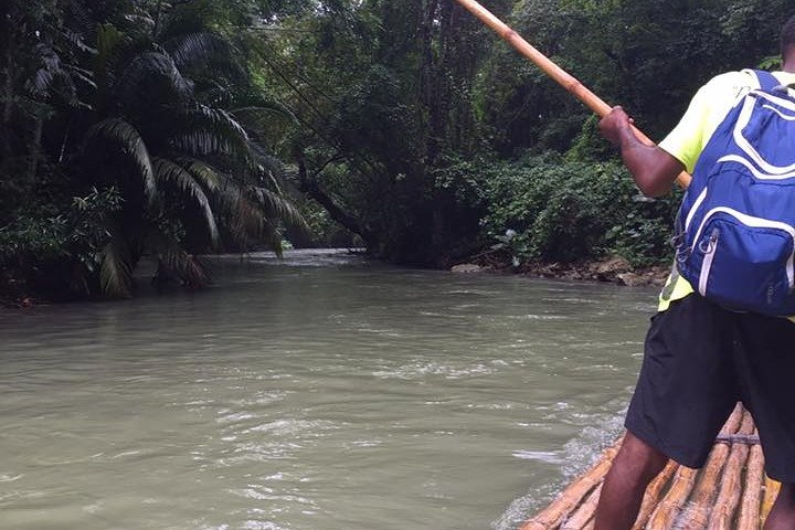 The Blue Hole and Martha Brae River Private Tour from Falmouth - Image 3