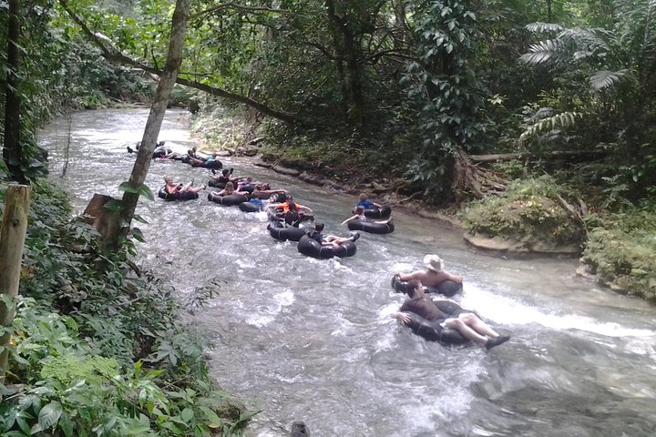 Thrill Seekers Adventure Dunn's River Falls with River Tubing from Falmouth - Image 2