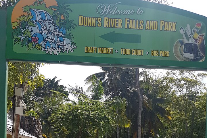Thrill Seekers Adventure Dunn's River Falls with River Tubing from Falmouth - Image 4