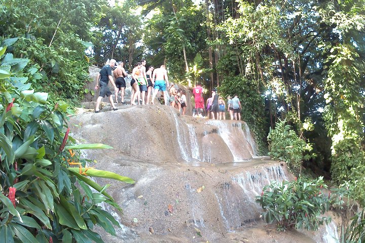 Top of Waterfall and sightseeing with small zoo konoko falls - Image 1