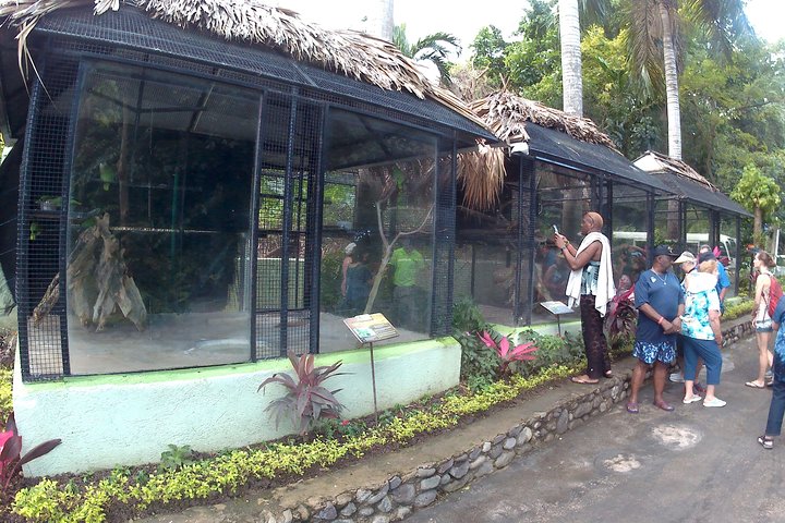 Top of Waterfall and sightseeing with small zoo konoko falls - Image 5