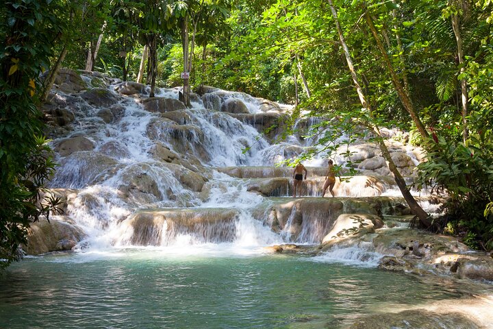 Tour the Natural beauty of Dunn's River Falls from Montego Bay - Image 4