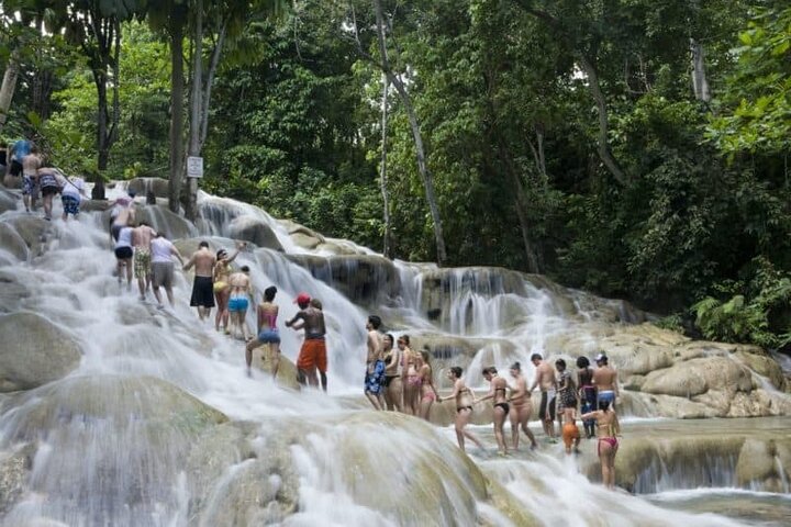 Tour the Natural beauty of Dunn's River Falls from Montego Bay - Image 2