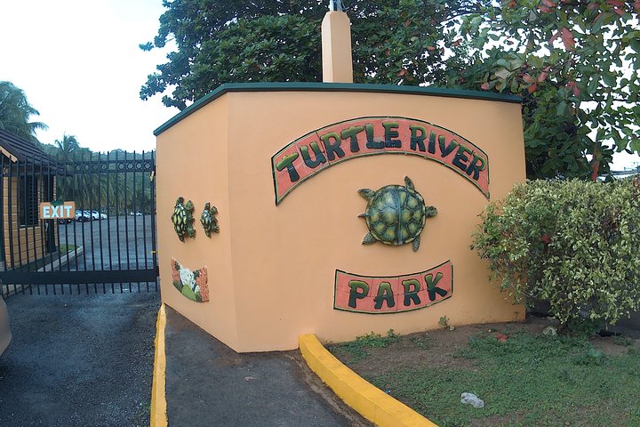Turtle River Park and Panoramic Sightseeing in the Hills  - Image 2