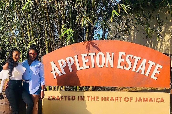  Ys Falls and Appleton Estate Factory Tour with private transportation  - Image 4