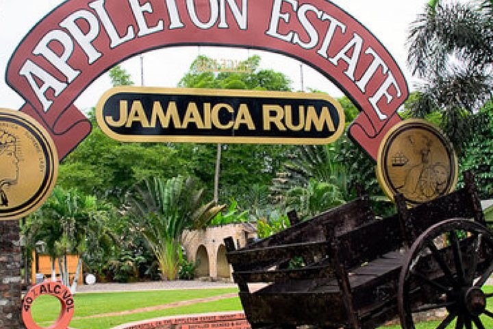Y.S Falls and Appleton Estate Rum Tour - Image 2