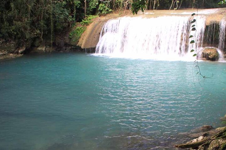 Y.S Falls and Appleton Estate Rum Tour - Image 4