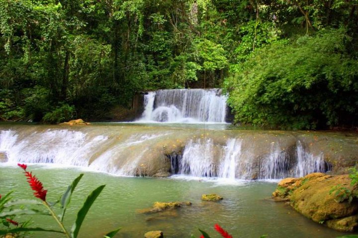 Ys Falls and Black River Safari Private Tour  - Image 2