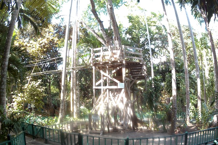 Zip Line over the Dunns River Falls  - Image 2