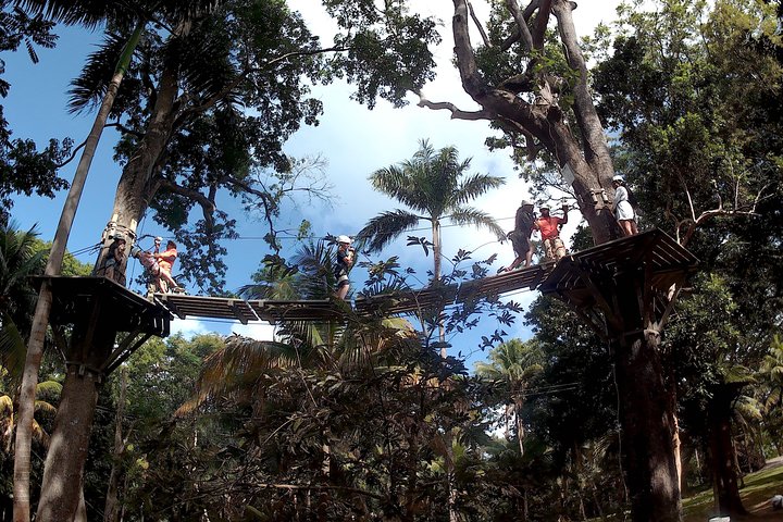 Zip Line over the Dunns River Falls  - Image 1