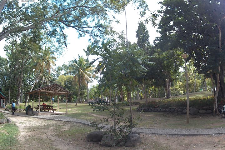 Zip Line over the Dunns River Falls  - Image 5