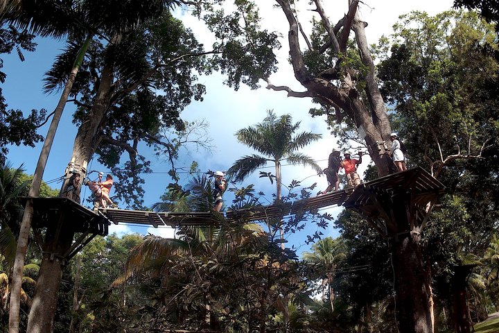 Zip Line over the Dunns River Falls  - Image 4