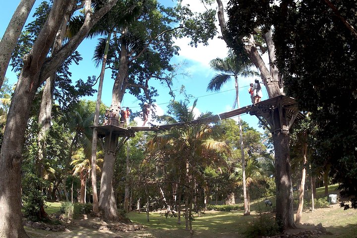Zip Line over the Dunns River Falls  - Image 3