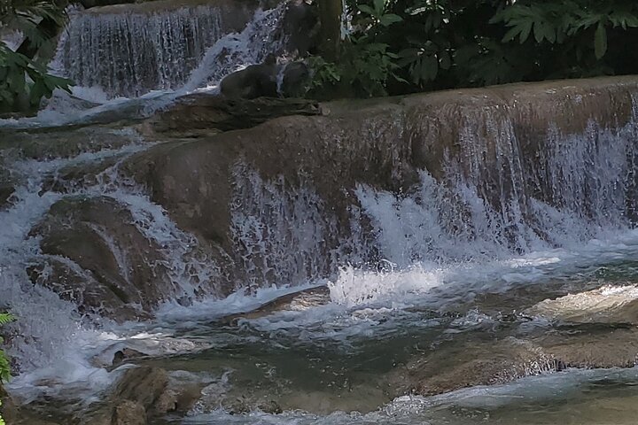Zipline and Dunns River falls Combo with lunch from Montego Bay  - Image 4