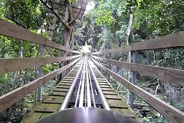 Zipline, Bobsled - Dunn's River - Bob Marley From Ocho Rios  - Image 4