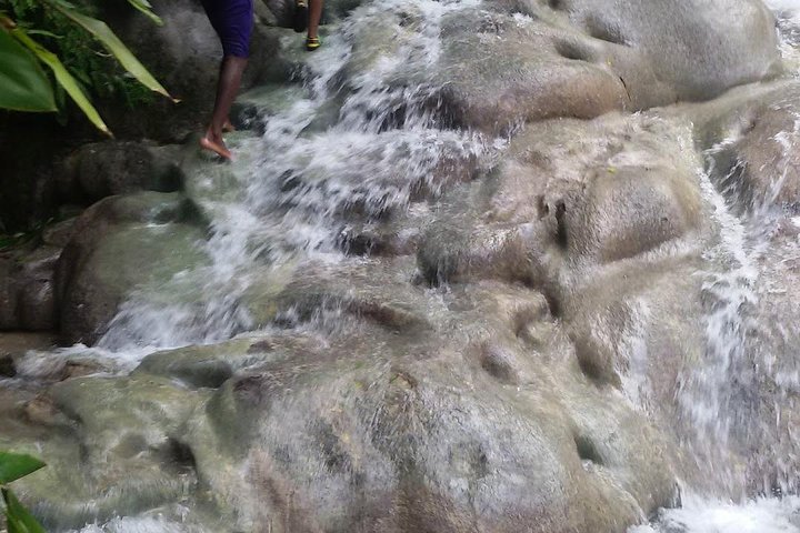 Zipline, Bobsled - Dunn's River - Bob Marley From Ocho Rios  - Image 1