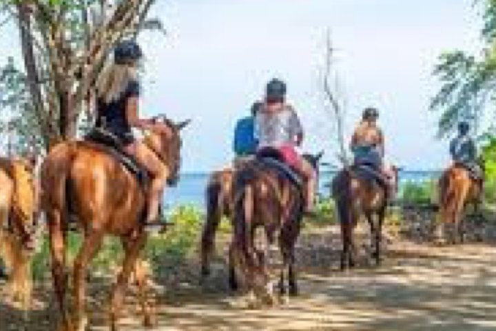 Ziplines/Horse Back Ride & Swim and ATV or Dune Buggy.  - Image 4