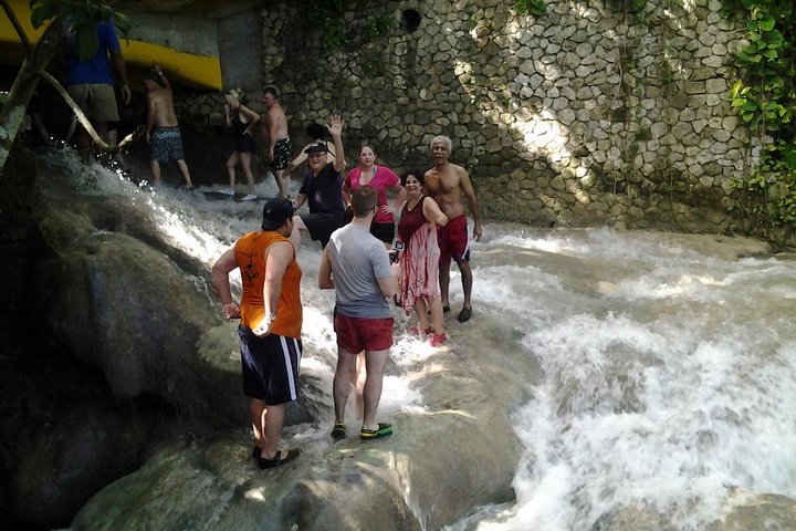 Ziplinig Dunn's River Falls from Montego Bay  - Image 4