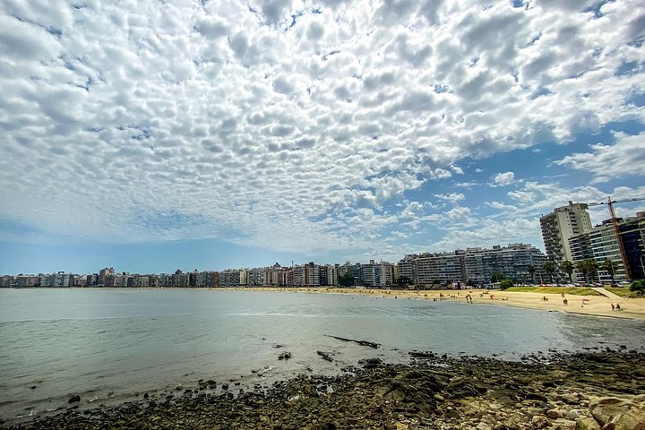 Best Montevideo Premium Tailor made Private Tour - BMW optional  - Image 2