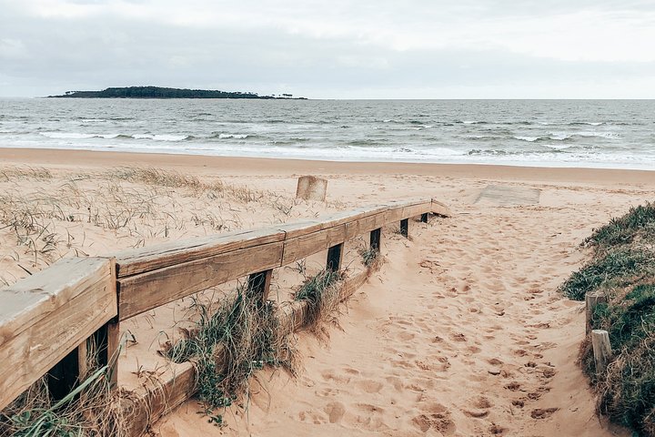 Discover Punta del Este - The Perfect Montevideo Getaway! - Image 3