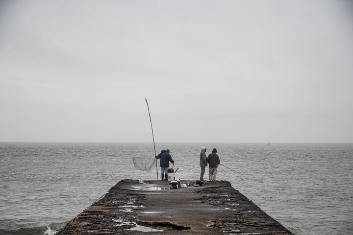 Discover the Best of Montevideo - Exploring the City's Sights! - Image 5