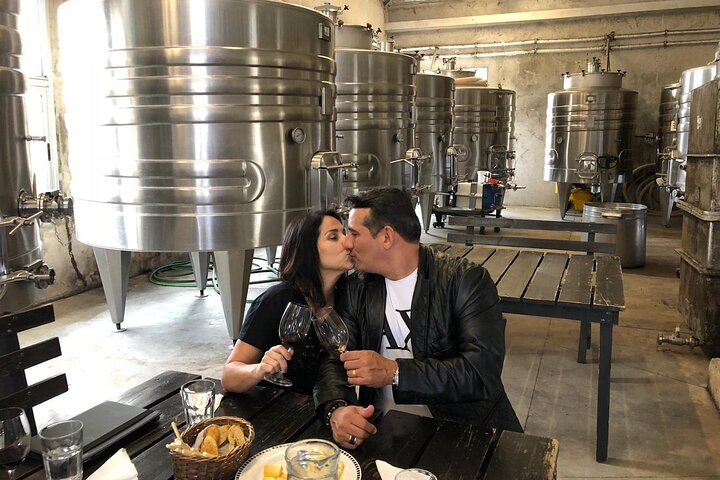 Exclusive Cruise Wine Tour curated for a small group - Image 2