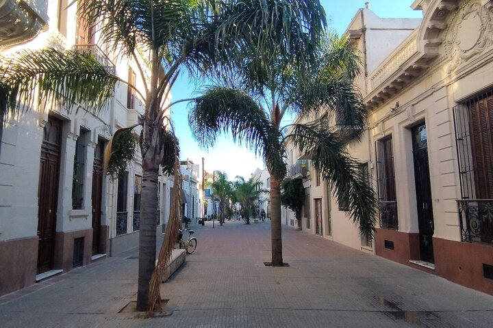 Full Day Private Tour of Montevideo - Image 4