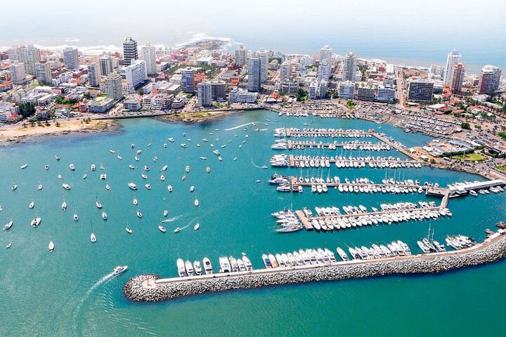 Full Day Punta del Este  - Image 4