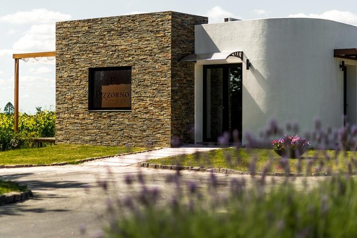 Montevideo Wine Tour with Tasting and Lunch - Image 4