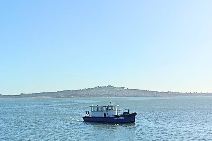 Private Boat Tour through the Bay of Montevideo - Image 3