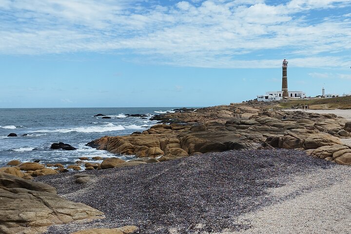 Private Tour to Cabo Polonio for the day - Image 1