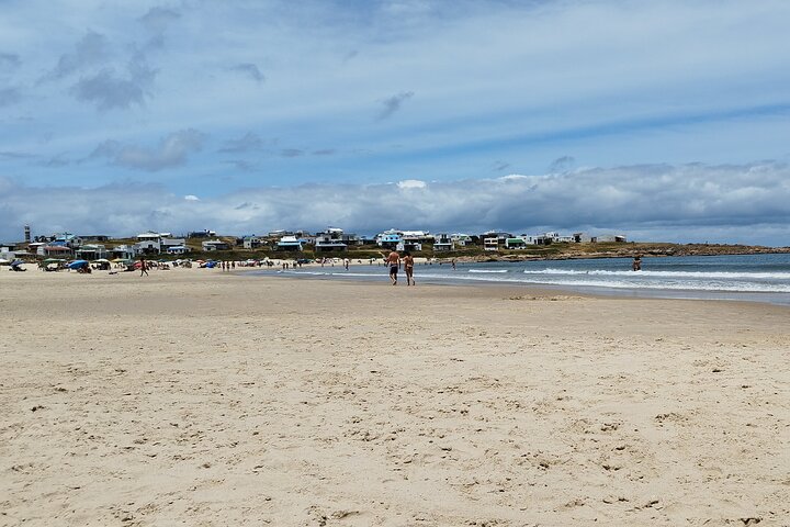 Private Tour to Cabo Polonio for the day - Image 2