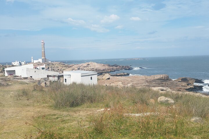 Private Tour to Cabo Polonio for the day - Image 3