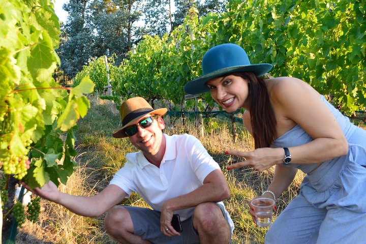 Visit 2 wineries in a day - Image 5