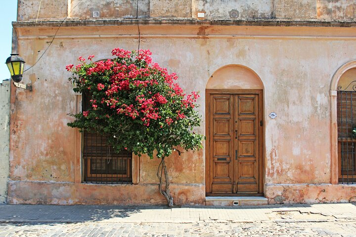 Visit charming Colonia with a Day Trip from Montevideo! - Image 2
