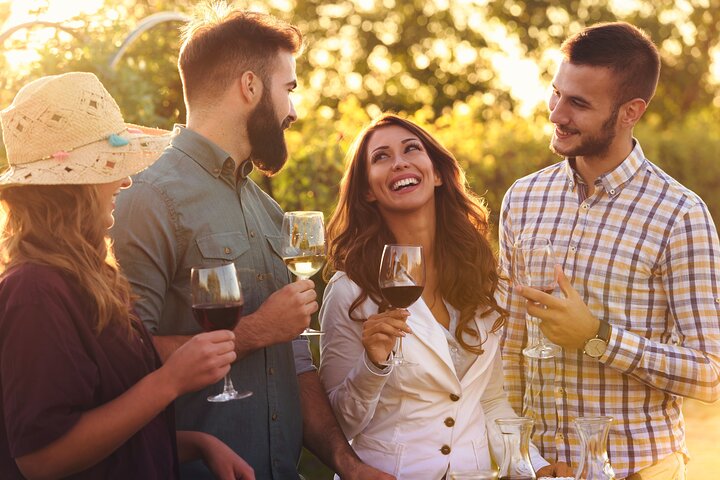 Wine Lovers - Escape for a Countryside Lunch with tasty wines! - Image 3