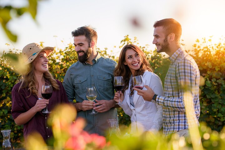 Wine Lovers - Tannat Wine Experience from Montevideo - Image 4