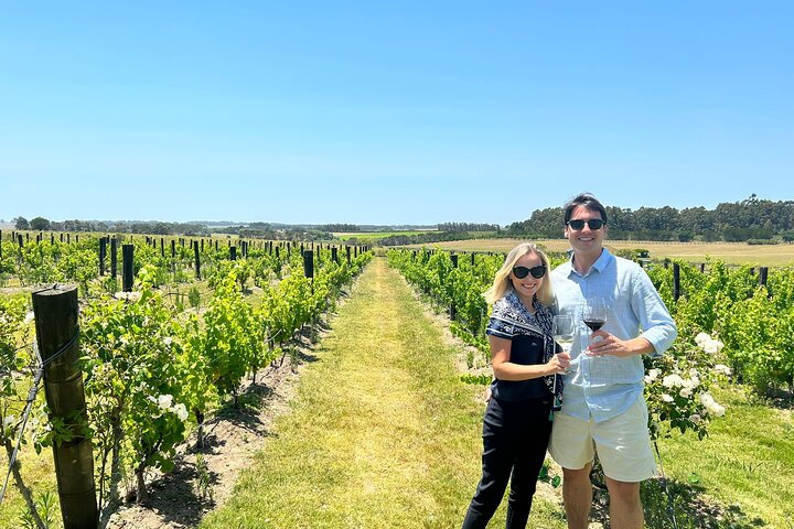 Wine Lovers - Visit 1 or 2 Wineries with The Wine Experience  - Image 5