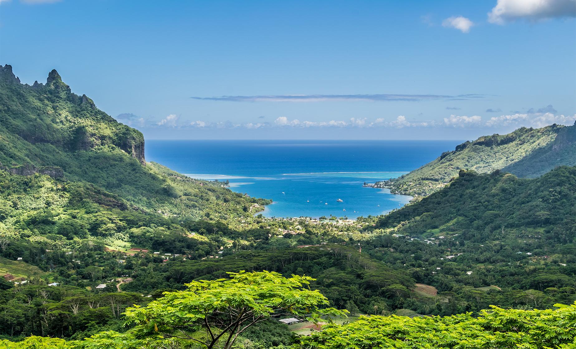 Moorea Island Safari - Image 1