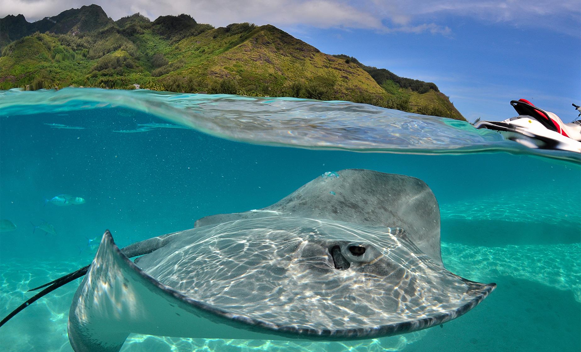 Moorea Jet Ski Adventure - Image 1