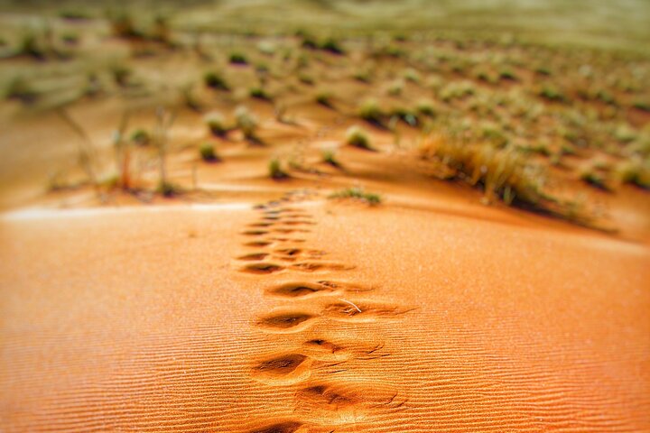 2-Day Private Tour in Sands and Wadi Bani Khalid  - Image 1