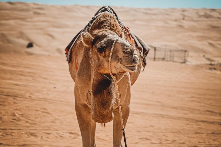2-Day Private Wahiba Sands Desert Camping Tour from Muscat - Image 4