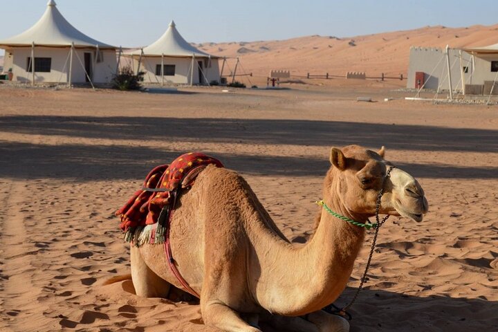 2 Days Nizwa, Wahiba Sands and Wadi Shab Package - Image 3