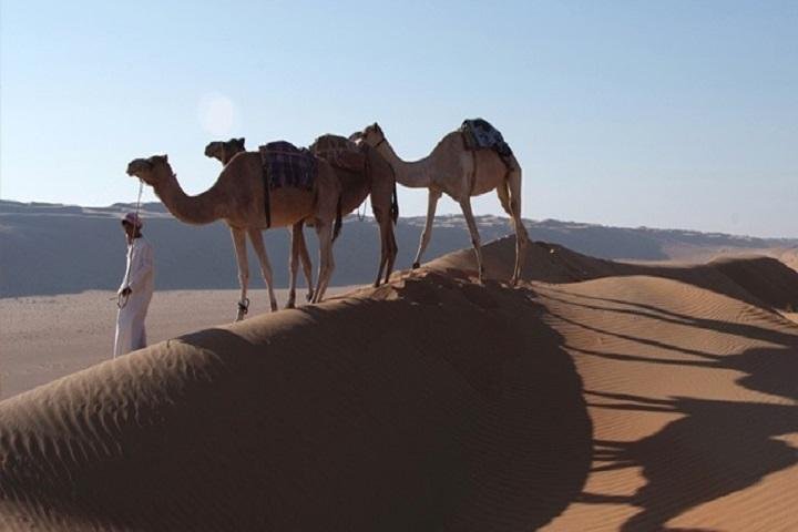 2 Days Package TOUR JAMILA - Image 1