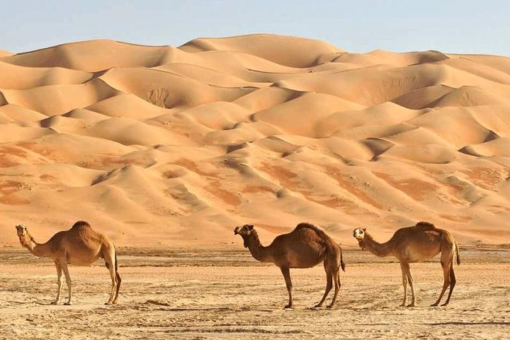 2 Days Package TOUR JAMILA - Image 5